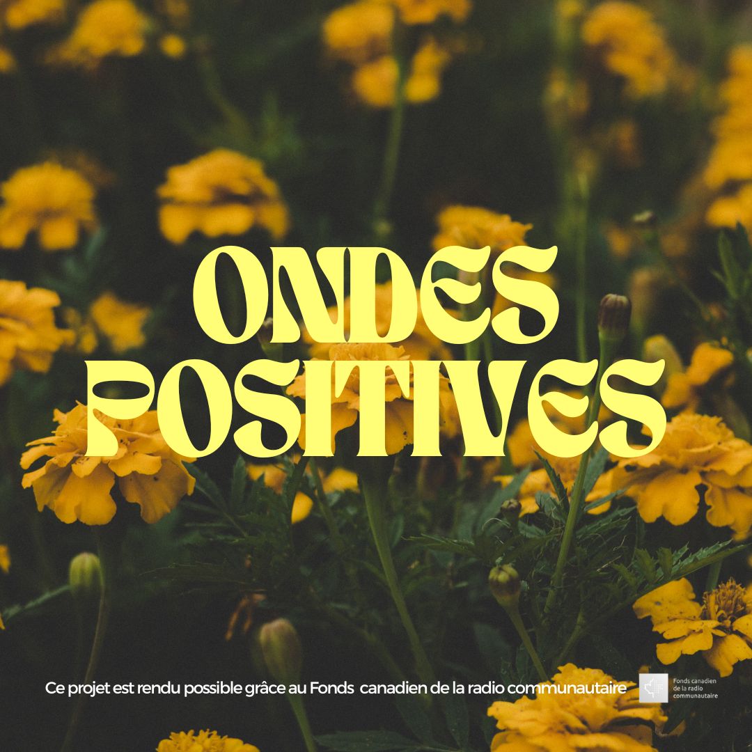 Ondes Positives sur CHOQFM 105.1